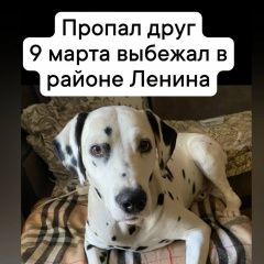 ����: ������� ������  �������� ������ ������ ���������� ������-��-���� � �. ������-��-����