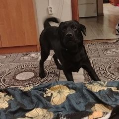 ����: None �������� �������� ��������� ����� ������ �������� �������� ������� � �. �������