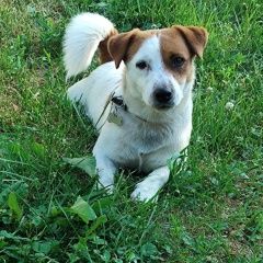 ����: ������� ������ ���� ������ ������ ��������� ������� ������ ������ �������� �����...� � �. ��������