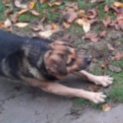 ����: ������� ������  ����������� ������� ������ ������ ������� ���� � �. ����������