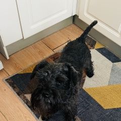 ����: ������� ������  ������-��������� ������� ������ ������� � �. �����-���������