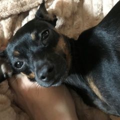 ����: ������� ������  ��������� ������� ������ � �. ��������