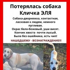 ����: ������� ������ ������ ��������� ������� ������ ���� ������....� � �. ��������