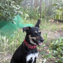 ����: ������� ������  �������� ������ ������-��-���� � �. ������-��-����