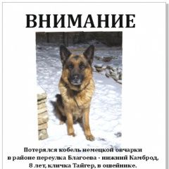 ����: ������� ������ �������� ������� �������� ������ ������ ������� � �. �������