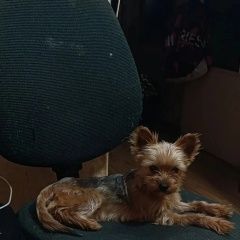 ����: ������� ������ ����������� ������ �������� ������ ������ ����������� ������ 3 ����...� � �. ����������