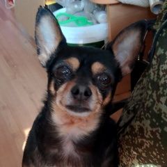 ����: ������� ������  �������� ������ ������ ��������� � �. ���������