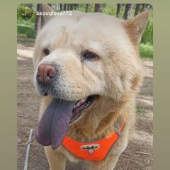 ����: ������� ������ ���-��� �������� ������ ���������� � �. ���������