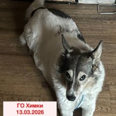 ����: ������� ������  �������� ������ �������� ����� ���������� ������...� � �. �����