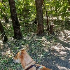 ����: None  �������-��-���� �������� ����� ����� �������� � �. ������-��-����