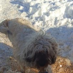 ����: ������� ������  �������� ������ 18. 03 ������� ������ ���������� � �. ���������