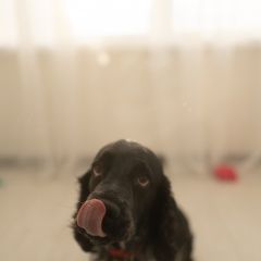 ����: ������� ������ ���������� �����-�������� ������������ ������� ������ ������ ��� ��������� � �. �����������