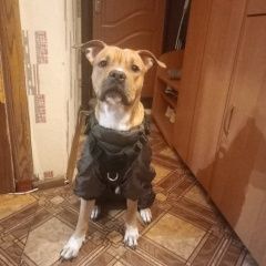 ����: ������� ������ ������������ ��������������� ������ �������� ������ ������ ������������� � �. �������������