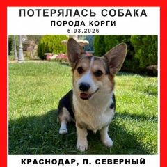 ����: ������� ������ ����� ����� ���������� ������� ������ ��� ������� ���� � �. ���������