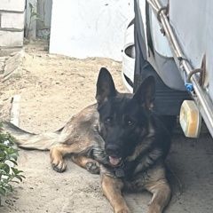 ����: ������� ������  �������� ������ �������� ������� ��������� � �. ���������