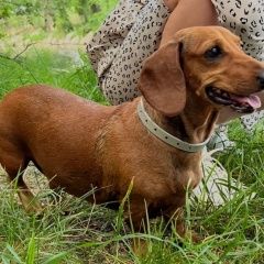 ����: ������� ������ ����� ������������ ������� ������ ����� �� ������ ����� � �. �����������