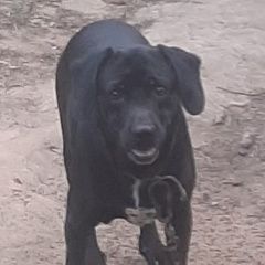 ����: ������� ������  �������� ������ ������ ���������� � �. ���������