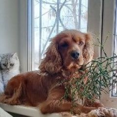 ����: ������� ������ ������� ��������� �������� �������� ������ ������ ���� ��������� � �. ���������