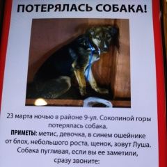 ����: ������� ������  ������� ������� ������. �. �����. �������.� � �. ������