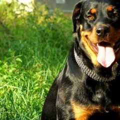 ����: ������� ������ ��������� �������� ������� ������ � �. �������