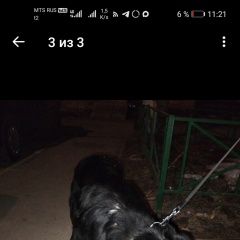 ����: ������� ������  �������� ������ ������ ������ ������ �������� � �. ������ ��������