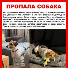 ����: ������� ������  �������� ������ ����� � ��� �����. ������ � �. ������