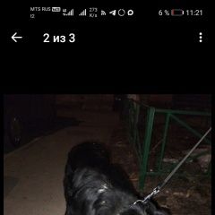 ����: ������� ������  ������� �������� ������� ������. ������. ������....� � �. ������ ��������