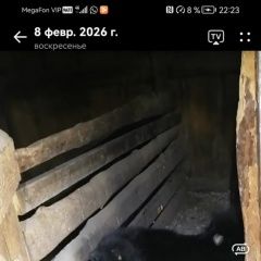 ����: None ������-����������� ����� ��������� ����� ������� � �. �������