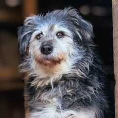 ����: ������� ������  �������� ������� ������ � �. �������