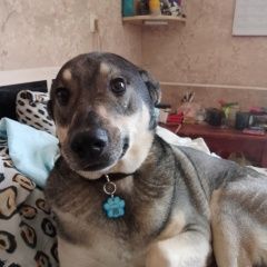 ����: ������� ������  �������� ������ ������ ������ � �. �����