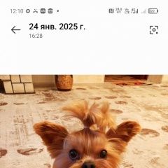 ����: None  ��������� ����� ������ � �. ������