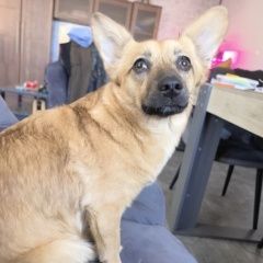 ����: ������� ������  �������� ������ ���������� � �. ����������