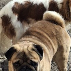 ����: ������� ������  �������� ������ ������ ������. 10 ����� �������� � �. ��������