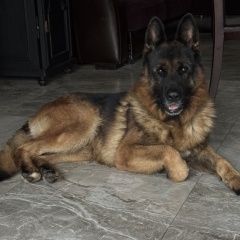 ����: ������� ������ �������� ������� ������� ������� ������ ������ �������� �������...� � �. ������