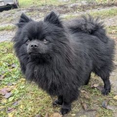 ����: ������� ������ ����������� ���� ������������� ������� ���. ������� ������ ������...� � �. ������������ ������� ���.