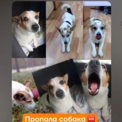 ����: ������� ������ ���� ������ ������ �������� ������ ������ ��������� � �. ���������