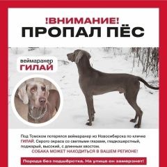 ����: ������� ������ ���������� ������ ������� ������ ������� � �. �����