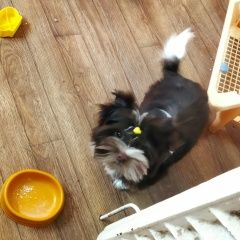 ����: ������� ������ ����������� ������ ����� ������� ������ ������� � �. ����