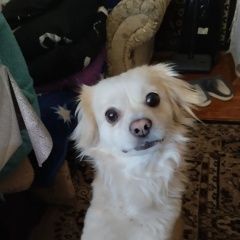 ����: None  ��������� ����� ���������� � �. ���������