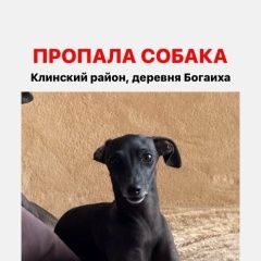 ����: ������� ������  ����� ������� ������ � �. ����