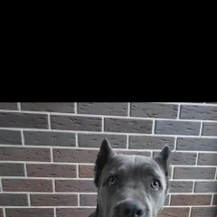 ����: ������� ������ ����-����� ���������� ������� ������ �������, ���� ����� � �. ���������