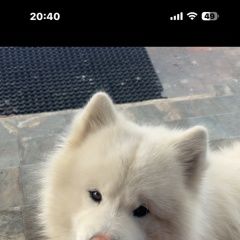 ����: ������� ������ ���������� ����� �������� ������ ������ ������, ������� ������,...� � �. ������