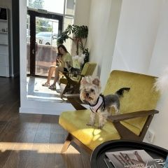 ����: ������� ������  �������� ������ ����������� ������ �������� � �. ��������