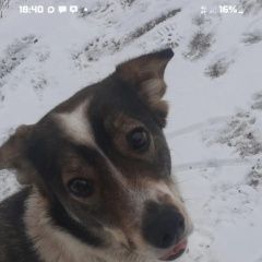 ����: ������� ������  �������� ������ ��������� � �. ���������