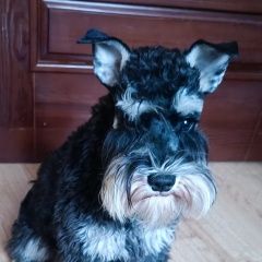 ����: ������� ������ ������������ ������� (���) ������� ������ ������ ������������ � �. ������ (���)