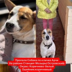 ����: ������� ������  ������� ������� ������ ������� � �. ������