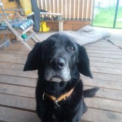 ����: None  ������� �������� ����� � �. ������