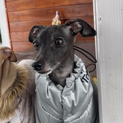 ����: ������� ������ �������� ����� ������� ������ � �. ����