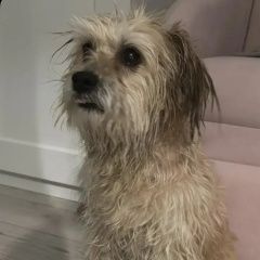 ����: ������� ������ ��������� �������� ������ �������� ������ ������ ��� � �. ���