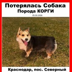 ����: ������� ������ ����� ����� �������� ������ ���� ������� ����� ��������� � �. ���������